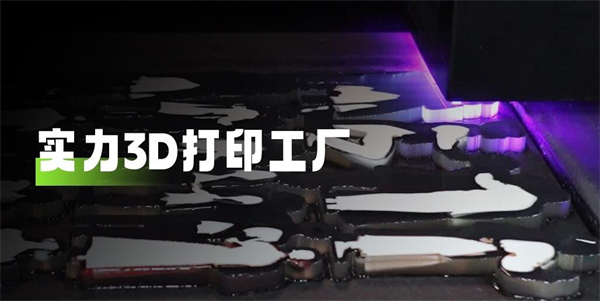 速蛙3d摄影加盟